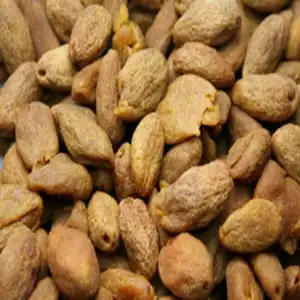 無籽黃橄欖(300克)