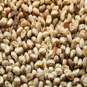 古早味筍豆(600克)