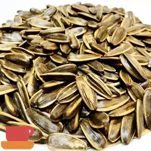 盛香珍 日月潭紅茶葵瓜子(300克)